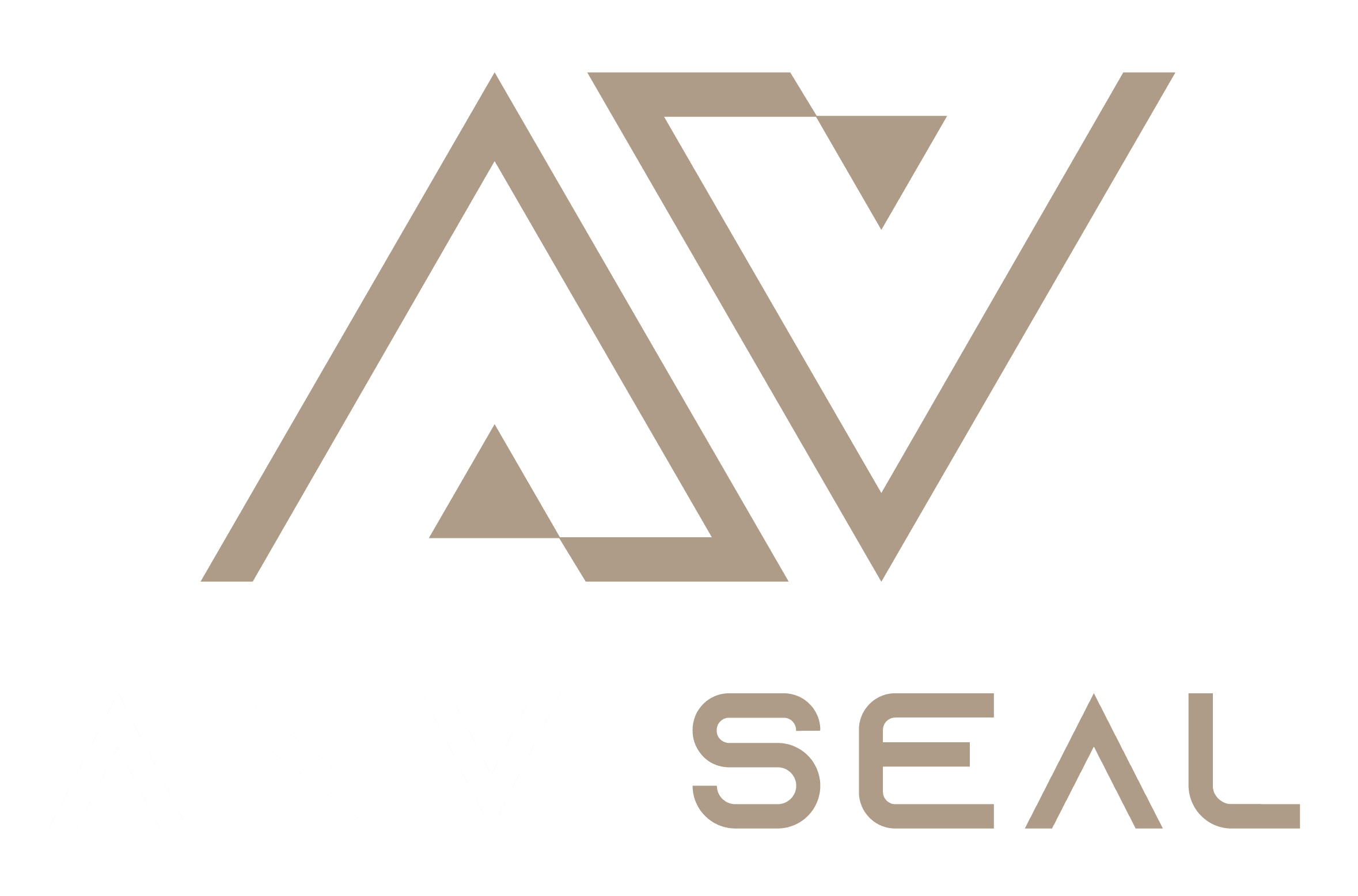 AnviSeal – apsauginės plombos verslui